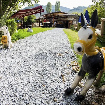 Varil-barrel Camping Parc de vacanță Selçuk