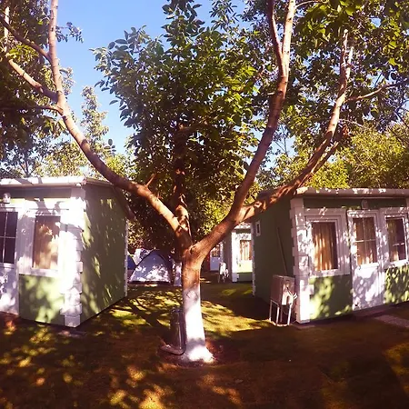 Varil-barrel Camping Tatil parkı Selçuk